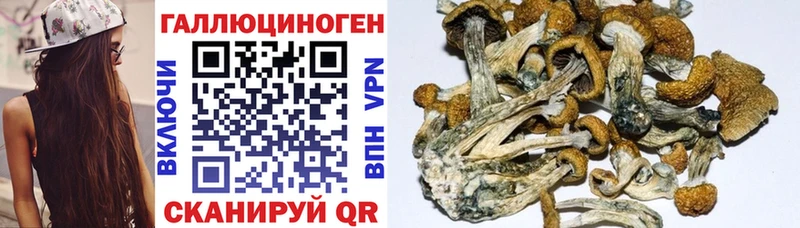 Галлюциногенные грибы MAGIC MUSHROOMS  Дзержинский 